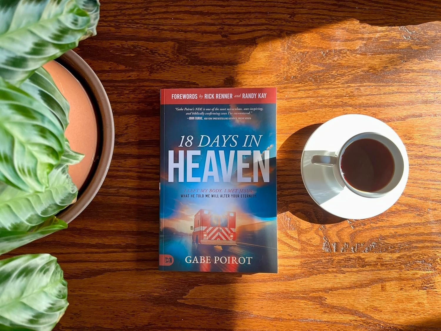 18 Days in Heaven: I Left My Body. I Met Jesus. What He Told Me Will Alter Your Eternity. - Image 6