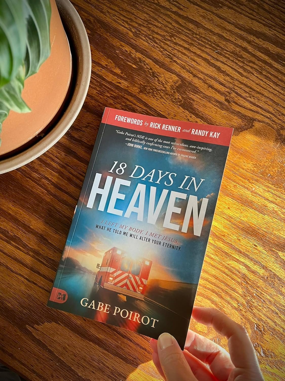 18 Days in Heaven: I Left My Body. I Met Jesus. What He Told Me Will Alter Your Eternity. - Image 8